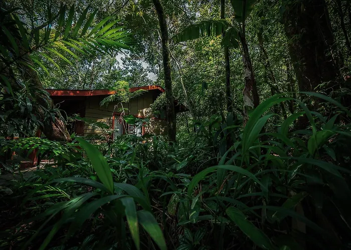 Jaguarundi Jungle Lodge - Monteverde