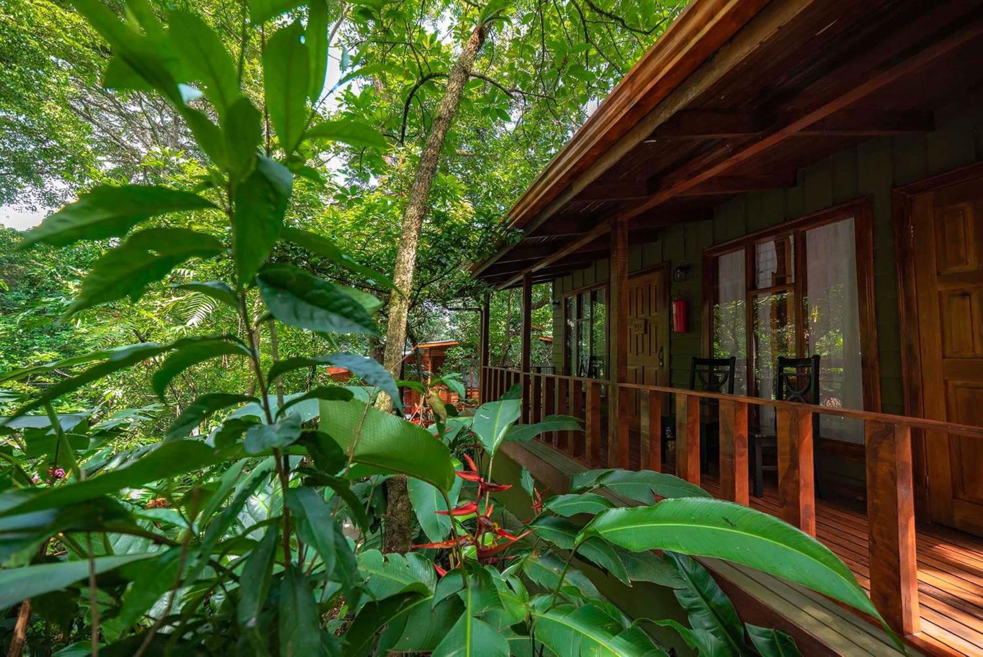 Hotel Jaguarundi Jungle -