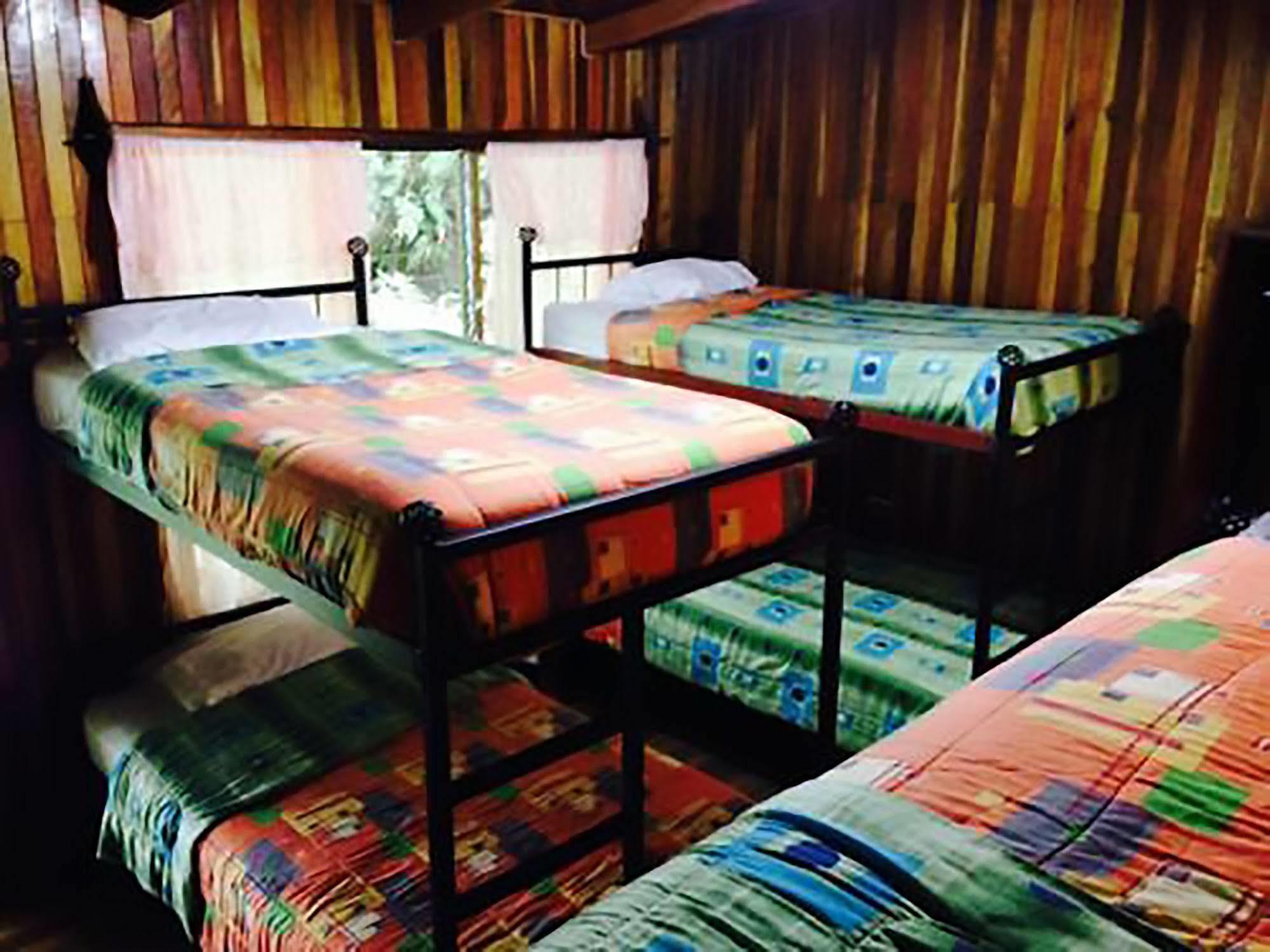 Jaguarundi Jungle - Hotel Monteverde