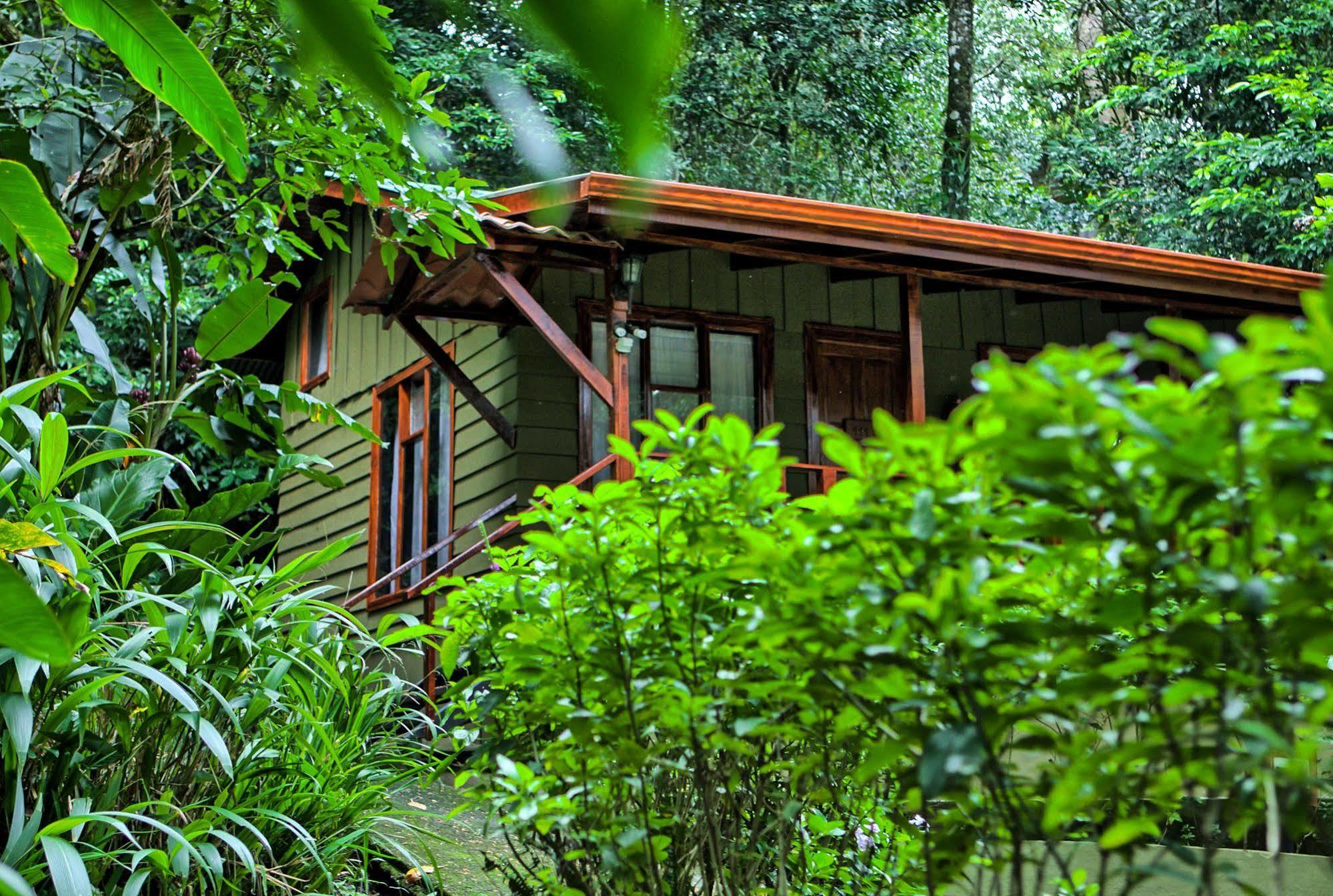 Jaguarundi Jungle - Hotel
