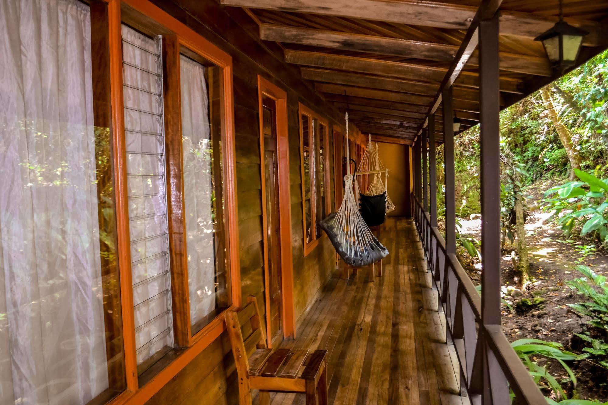 Jaguarundi Jungle - Hotel Monteverde