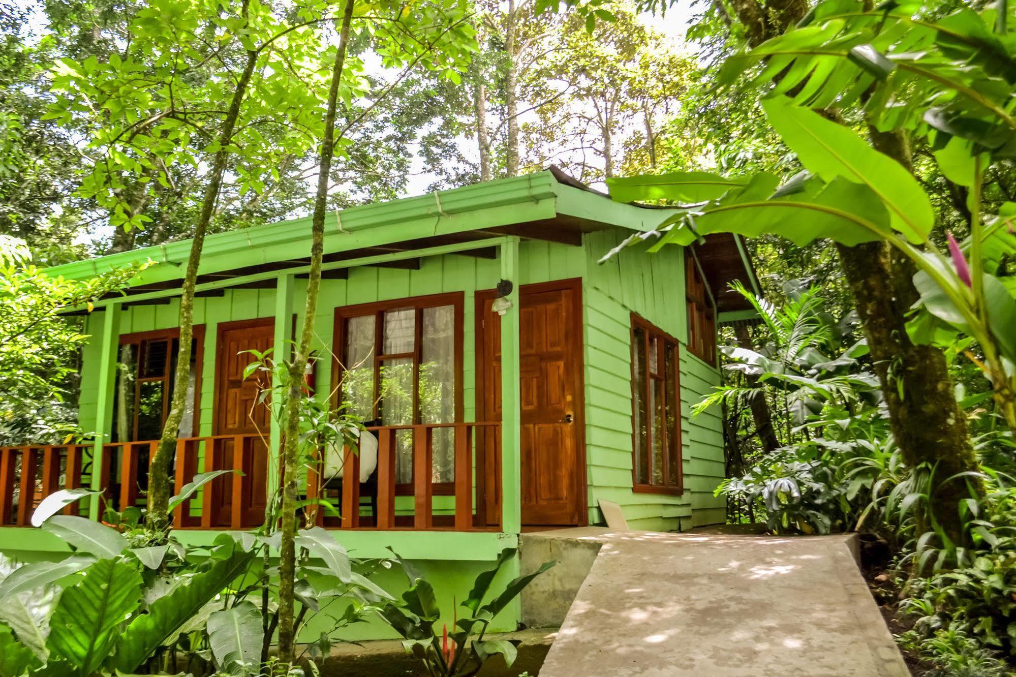 Jaguarundi Jungle - Hotel 3*