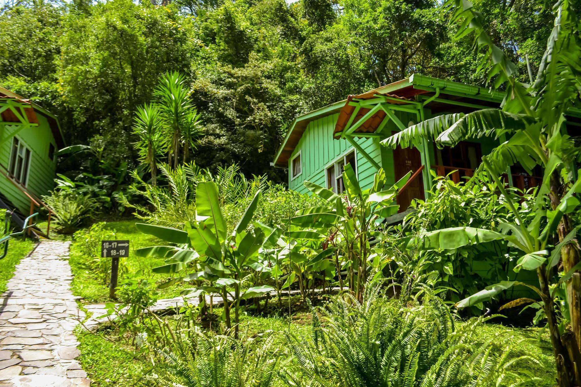 Jaguarundi Jungle - Hotel