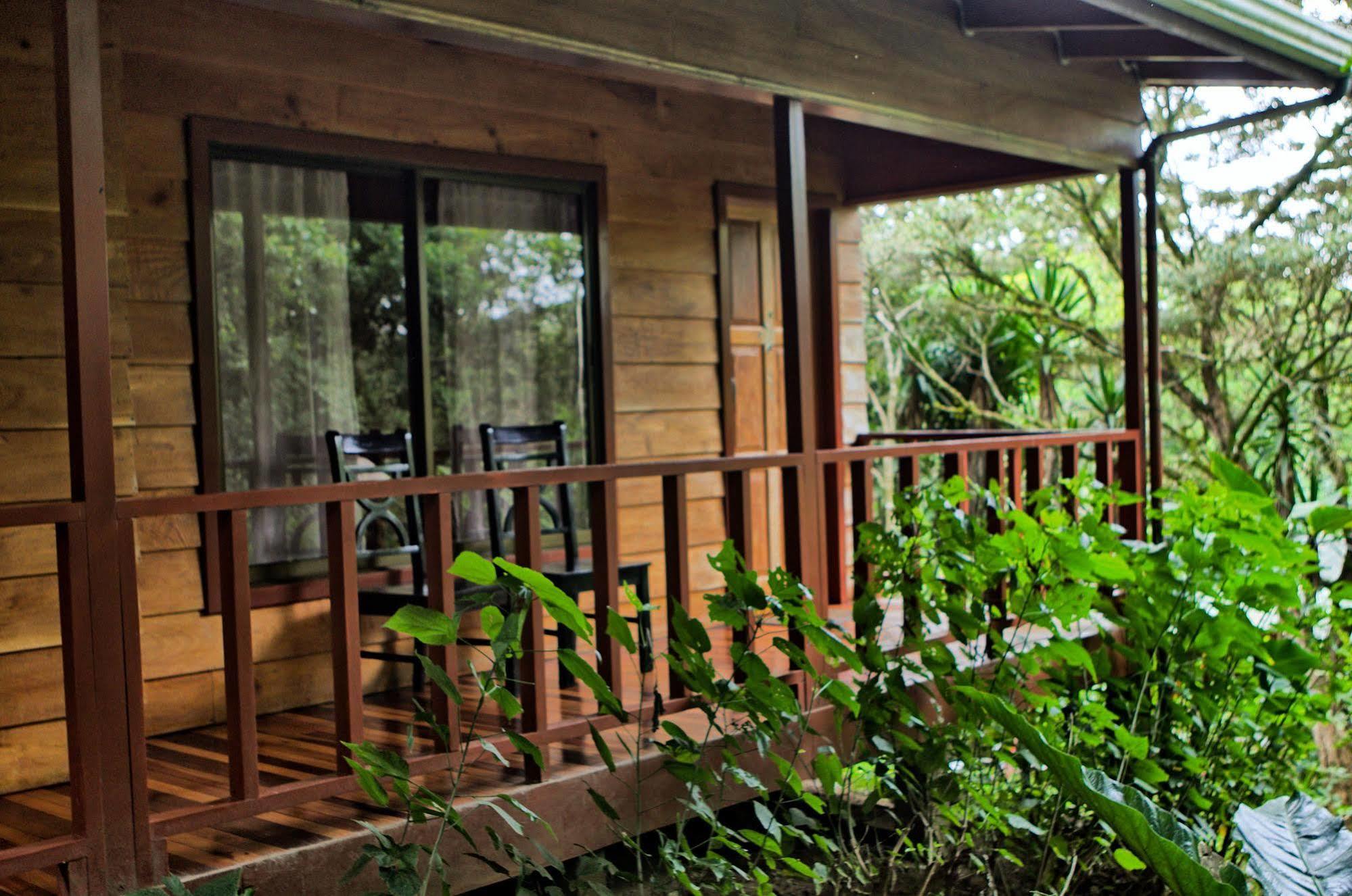 Hotel Jaguarundi Jungle -