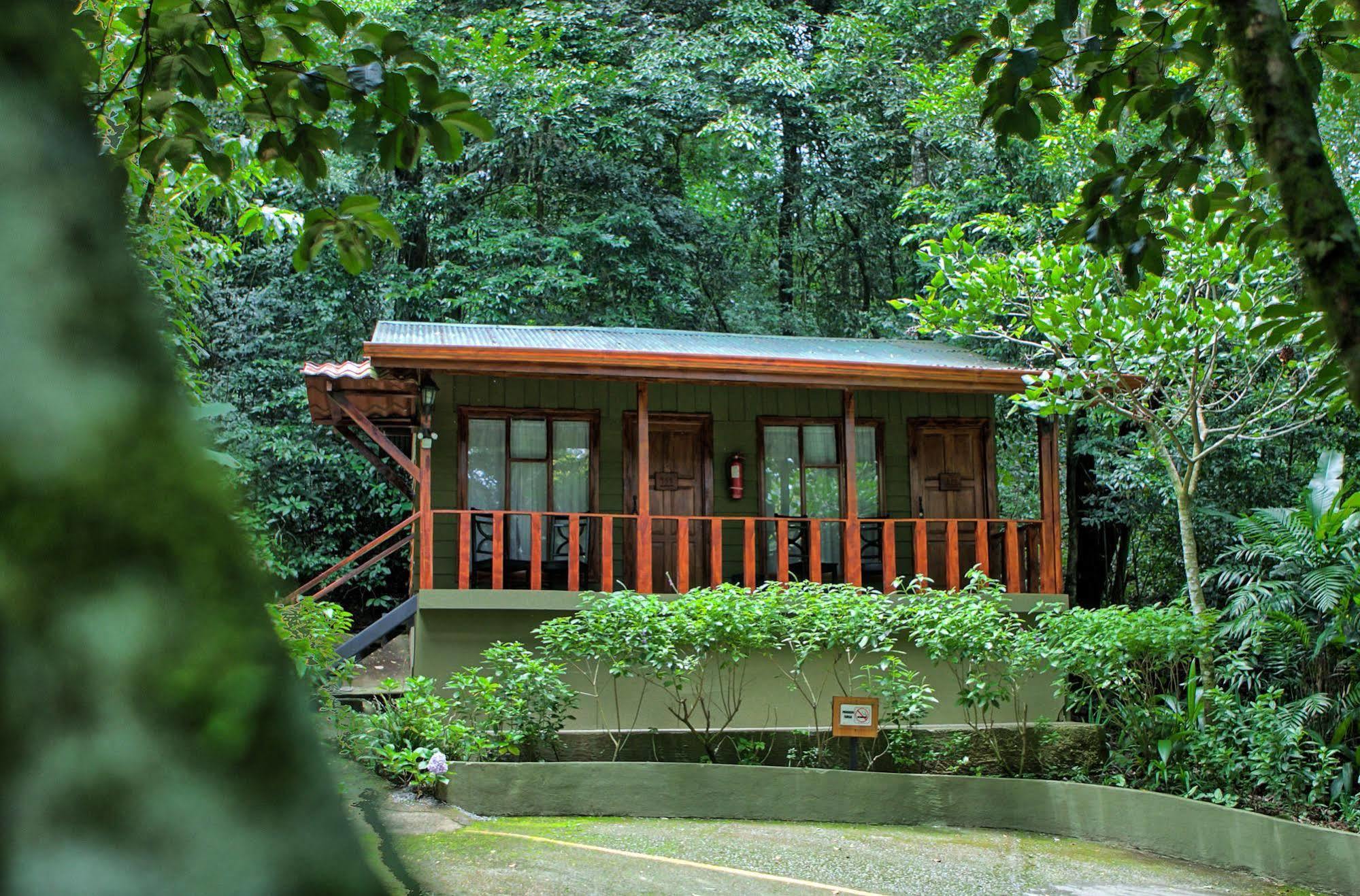Jaguarundi Jungle - Hotel 3*