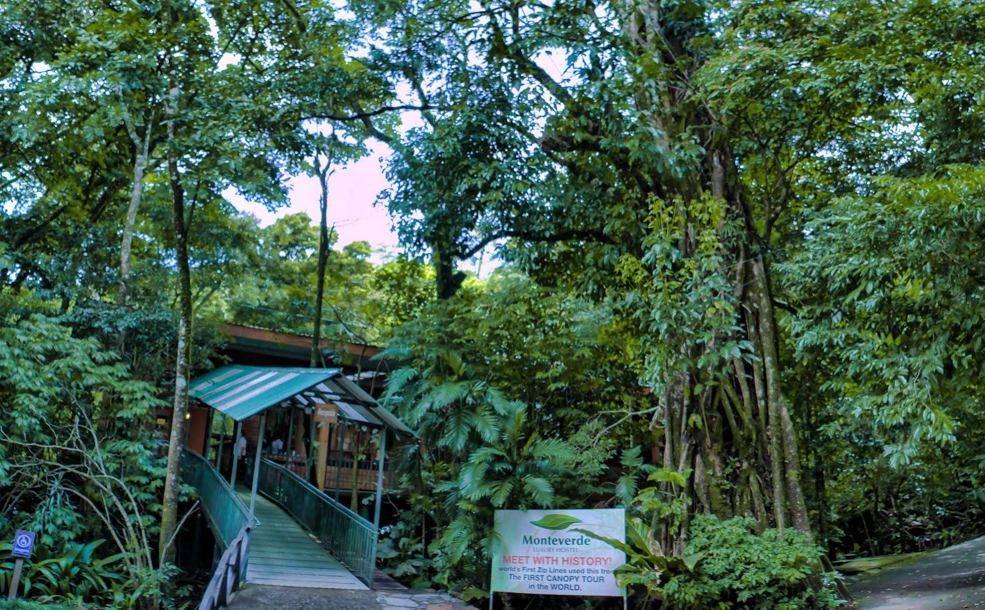 Hotel Jaguarundi Jungle - 3*