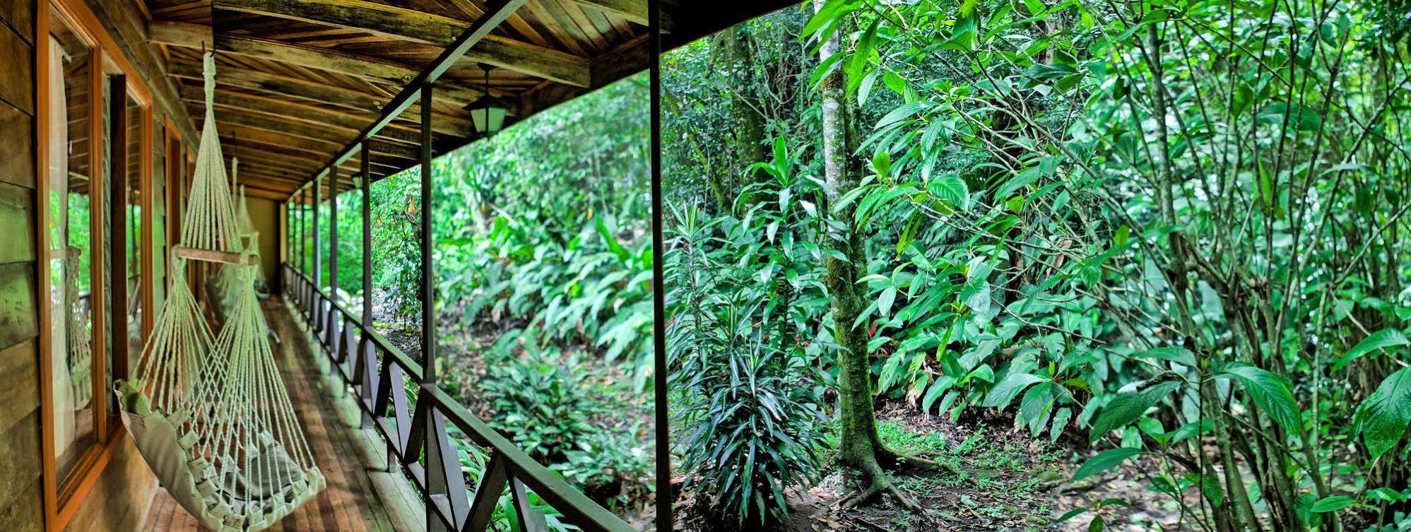 Jaguarundi Jungle - 3* Monteverde