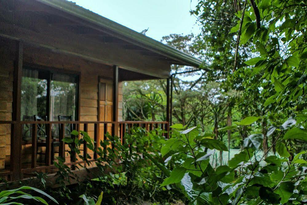 Jaguarundi - 3* Monteverde