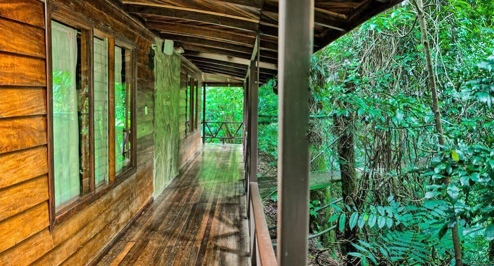 Hotel Jaguarundi -