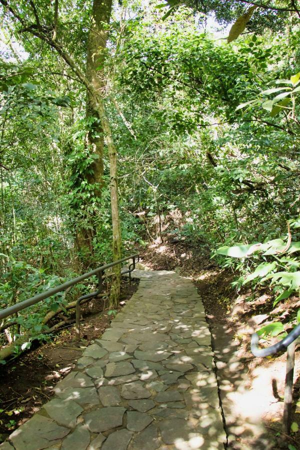 Hotel Jaguarundi Jungle -