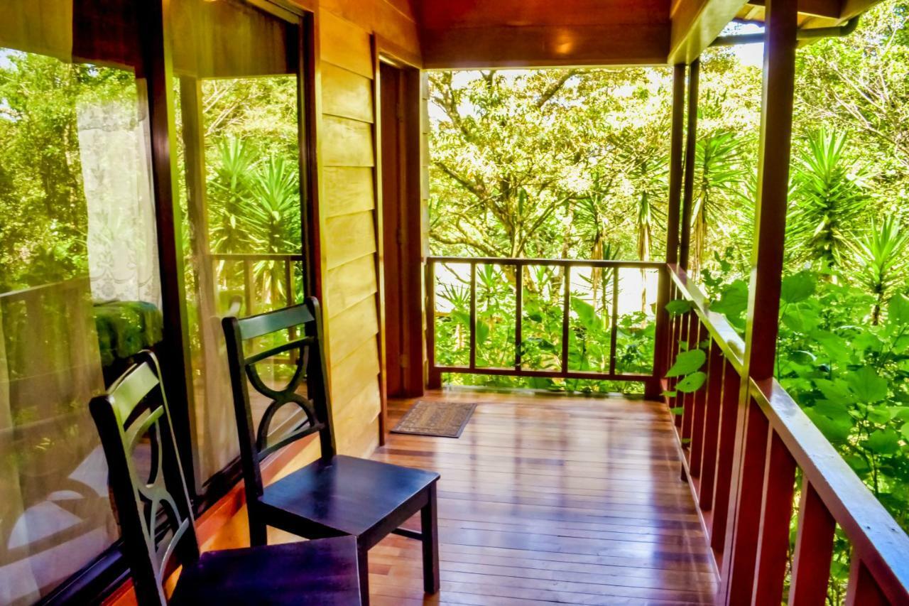 Hotel Jaguarundi Jungle -